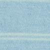Carhartt WIP WomenÕs Brodina Stripe T-Shirt in Saguaro