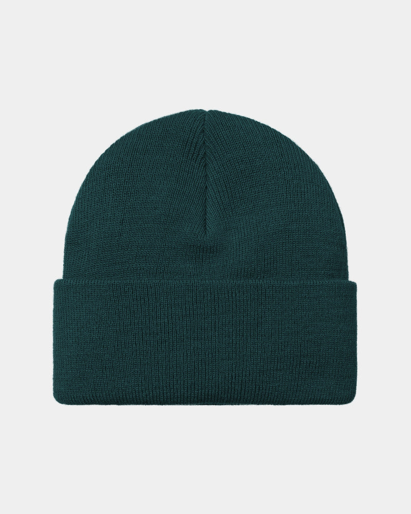 Carhartt beanie blue green on sale