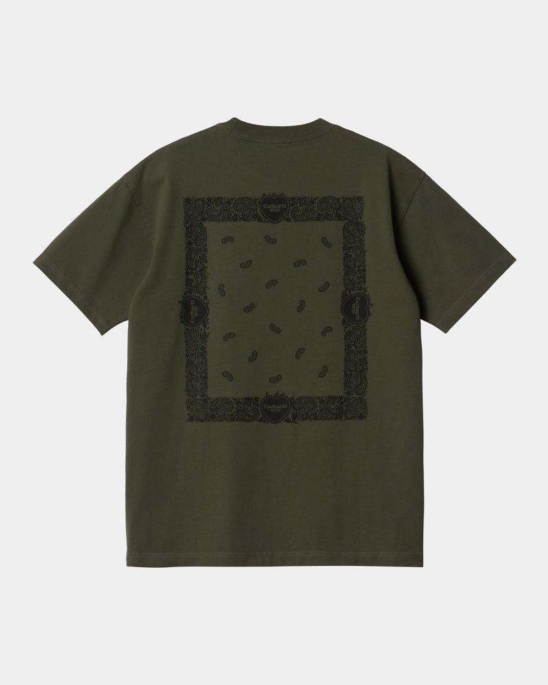 Carhartt WIP Paisley T-Shirt | Plant – Page Paisley T-Shirt