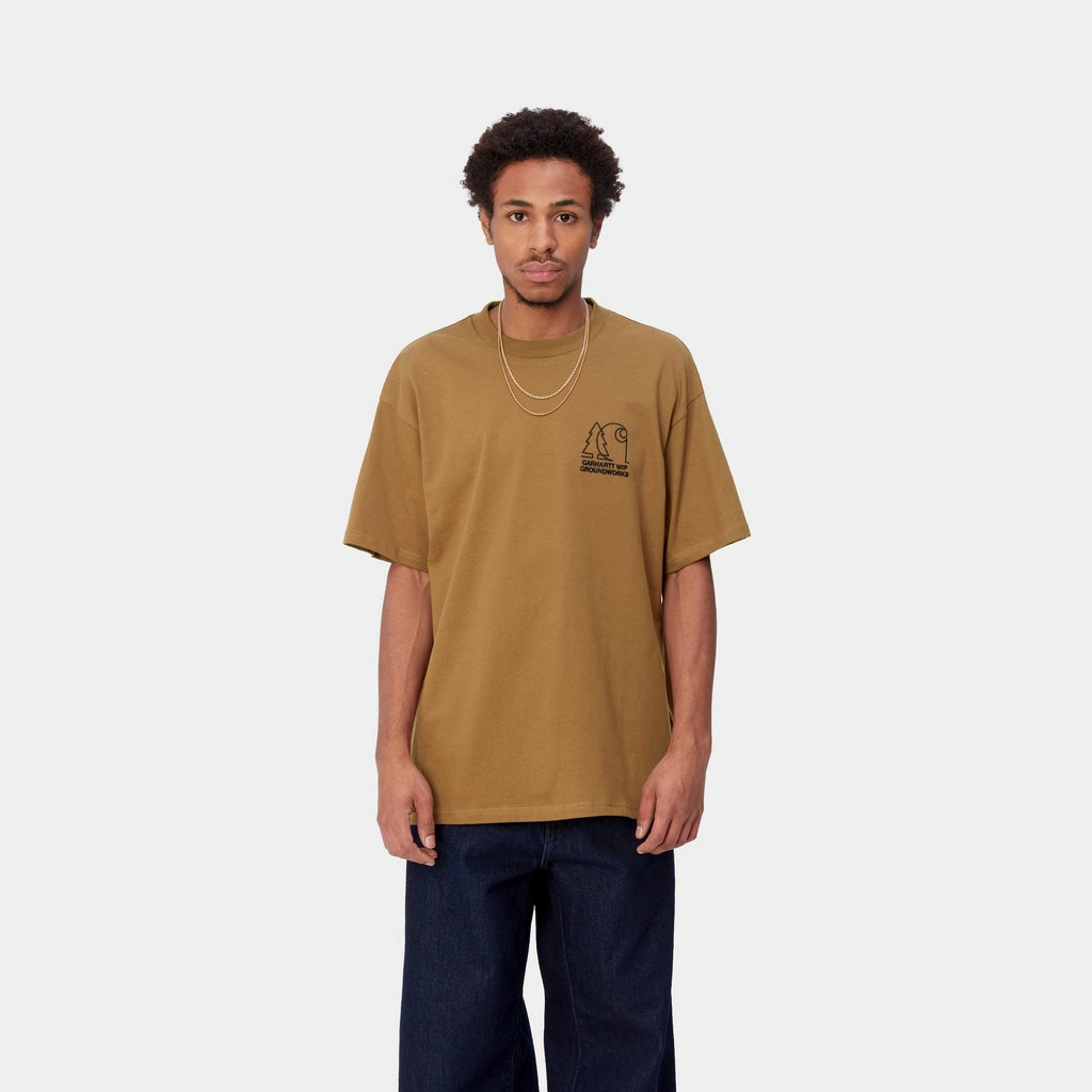 Carhartt WIP Groundworks T-Shirt | Hamilton Brown – Page Groundworks T ...