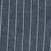 Carhartt WIP WomenÕs Orlean Stripe Bib Overall Straight in Blue / White (stone washed)