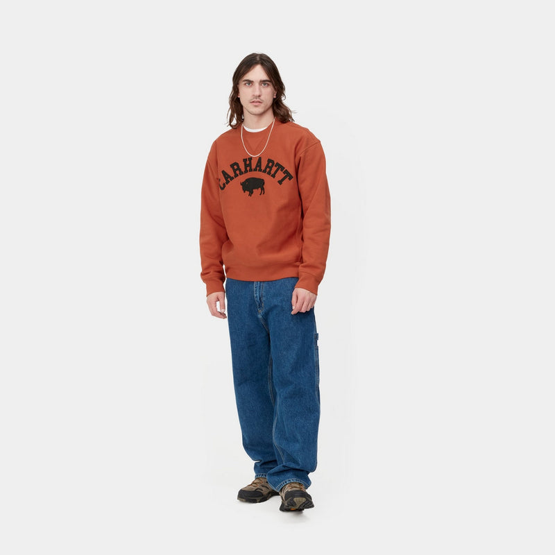 Carhartt WIP Locker Sweatshirt | Phoenix – Page Locker Sweatshirt